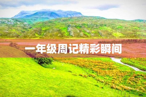 一年级周记精彩瞬间