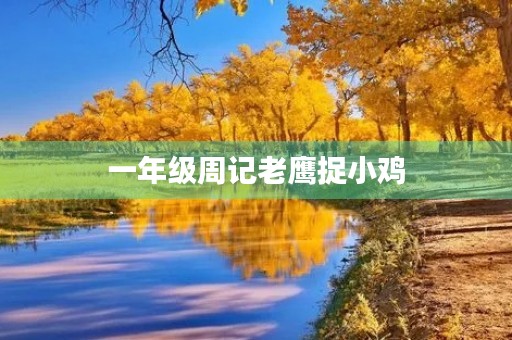 一年级周记老鹰捉小鸡
