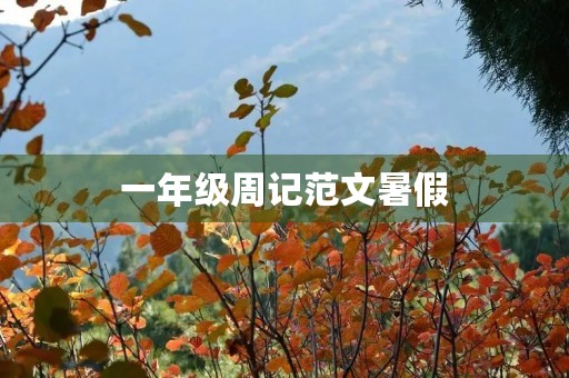 一年级周记范文暑假