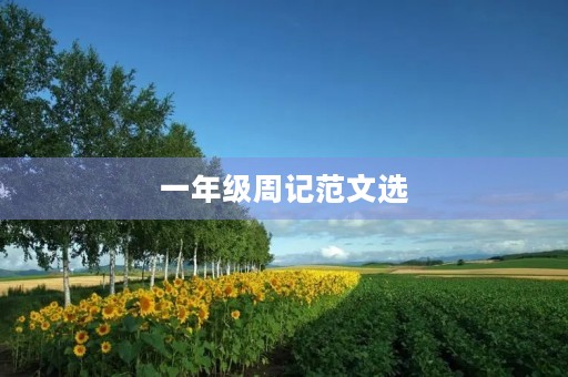 一年级周记范文选