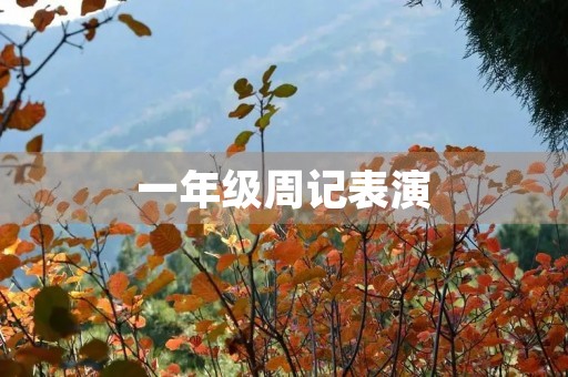 一年级周记表演