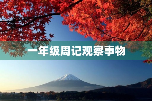 一年级周记观察事物