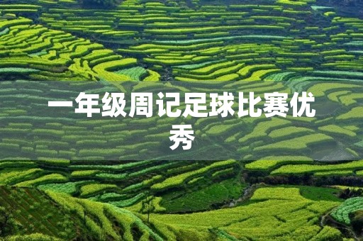 一年级周记足球比赛优秀 一年级周记足球比赛优秀