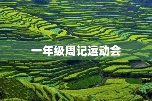 一年级周记运动会