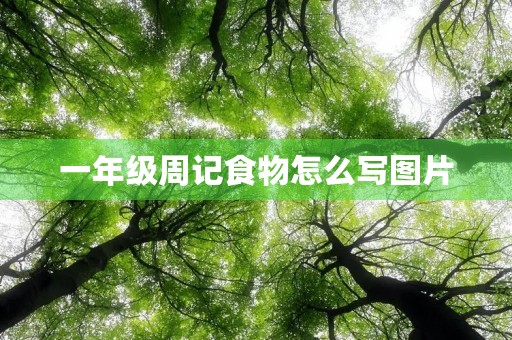 一年级周记食物怎么写图片