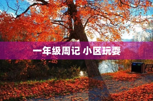 一年级周记 小区玩耍