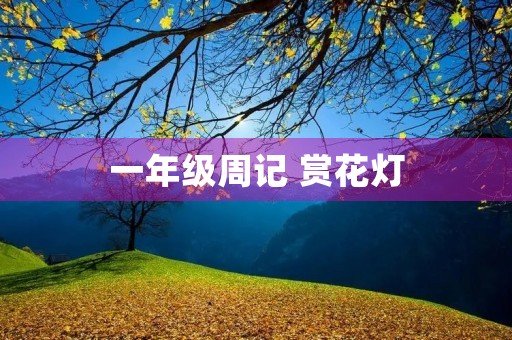 一年级周记 赏花灯 一年级周记 赏花灯