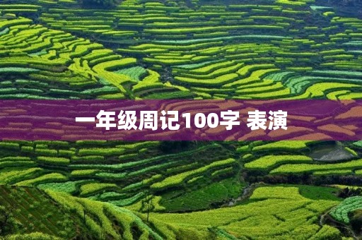 一年级周记100字 表演 一年级周记100字 表演