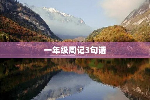 一年级周记3句话