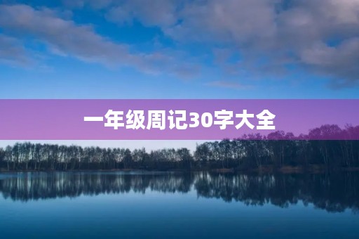 一年级周记30字大全