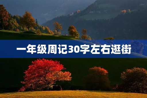 一年级周记30字左右逛街
