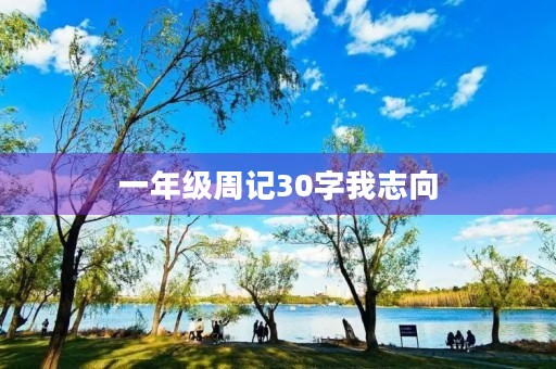 一年级周记30字我志向 一年级周记30字我志向