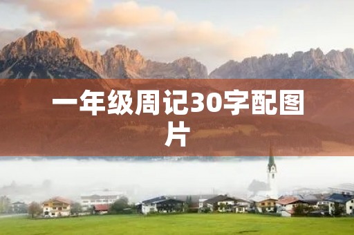 一年级周记30字配图片 一年级周记30字配图片