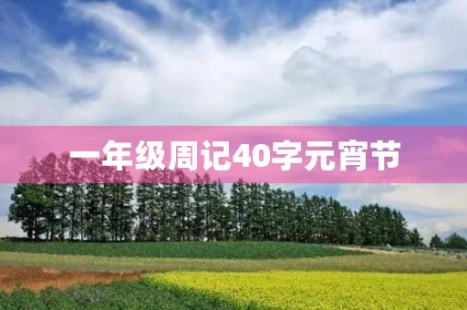 一年级周记40字元宵节 一年级周记40字元宵节