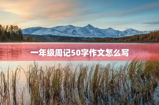 一年级周记50字作文怎么写 一年级周记50字作文怎么写