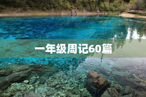 一年级周记60篇 一年级周记60篇