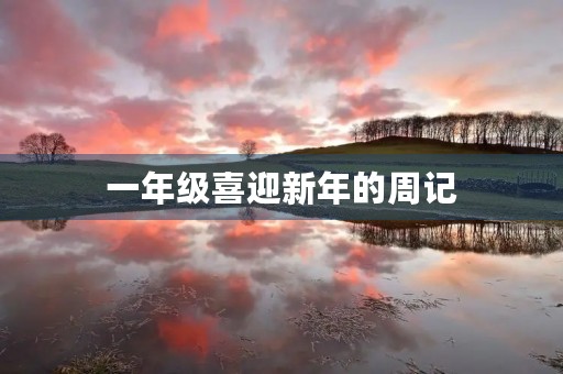 一年级喜迎新年的周记