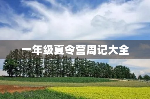 一年级夏令营周记大全