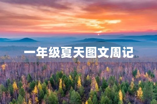 一年级夏天图文周记