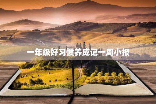 一年级好习惯养成记一周小报