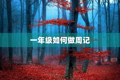 一年级如何做周记 一年级如何做周记