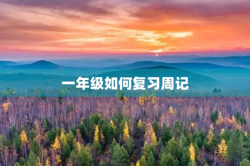 一年级如何复习周记 一年级如何复习周记