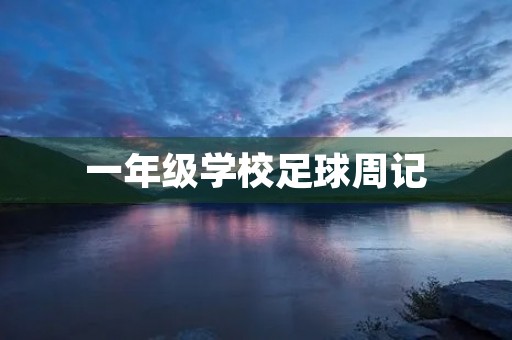 一年级学校足球周记 一年级学校足球周记