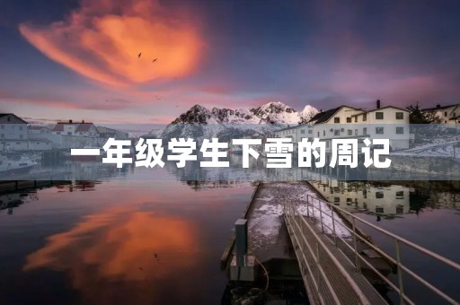一年级学生下雪的周记