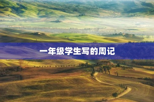 一年级学生写的周记