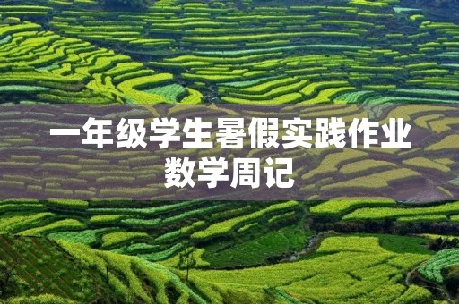 一年级学生暑假实践作业数学周记