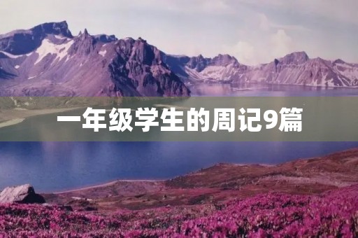 一年级学生的周记9篇