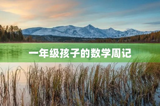 一年级孩子的数学周记 一年级孩子的数学周记