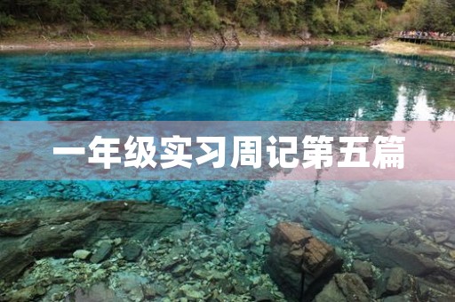 一年级实习周记第五篇 一年级实习周记第五篇