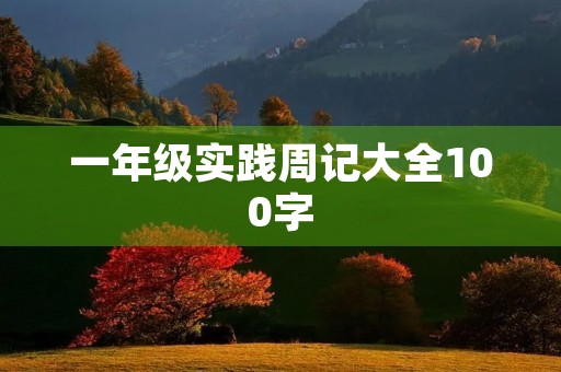 一年级实践周记大全100字