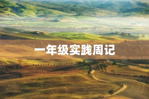 一年级实践周记