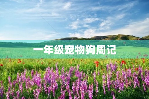 一年级宠物狗周记