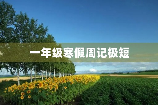 一年级寒假周记极短 一年级寒假周记极短