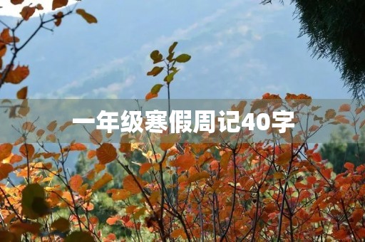 一年级寒假周记40字