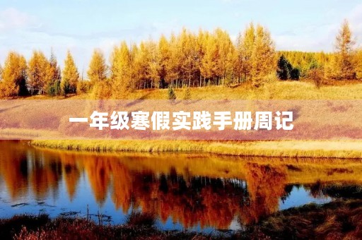 一年级寒假实践手册周记