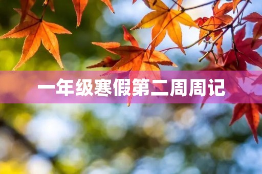 一年级寒假第二周周记 一年级寒假第二周周记