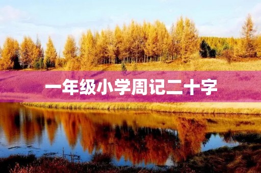 一年级小学周记二十字