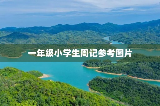 一年级小学生周记参考图片
