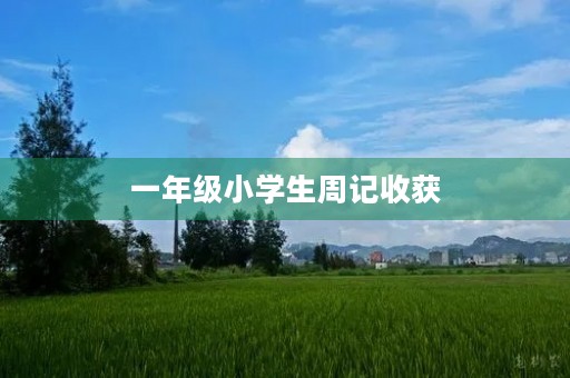一年级小学生周记收获