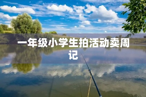 一年级小学生拍活动卖周记