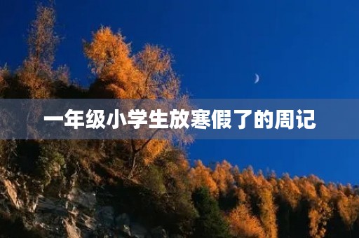 一年级小学生放寒假了的周记