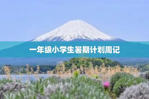 一年级小学生暑期计划周记