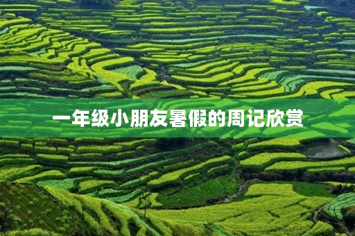 一年级小朋友暑假的周记欣赏 一年级小朋友暑假的周记欣赏