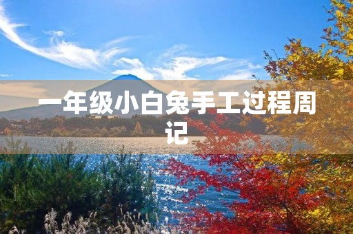 一年级小白兔手工过程周记