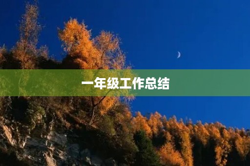 一年级工作总结