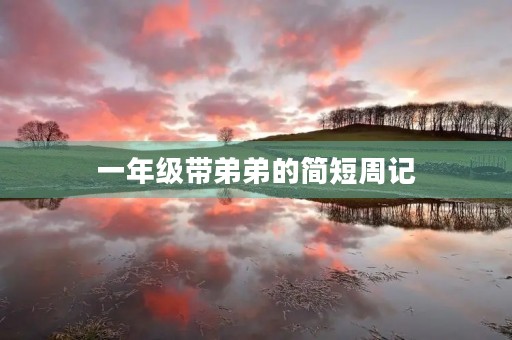 一年级带弟弟的简短周记 一年级带弟弟的简短周记